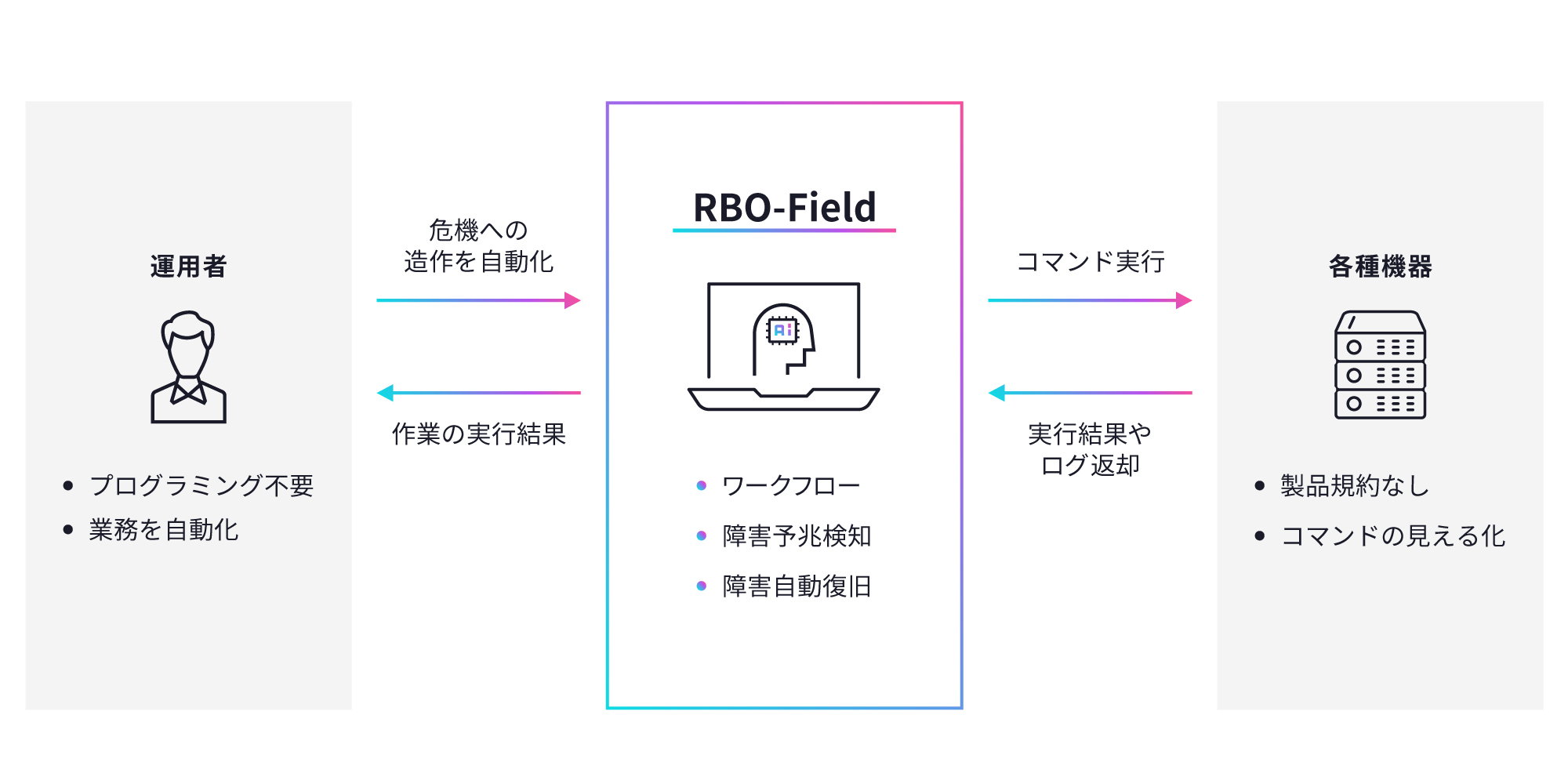 RBO-Fieldの図版